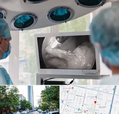 جراح ریه در امامت مشهد 