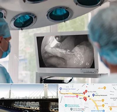 جراح ریه در پارک وی 