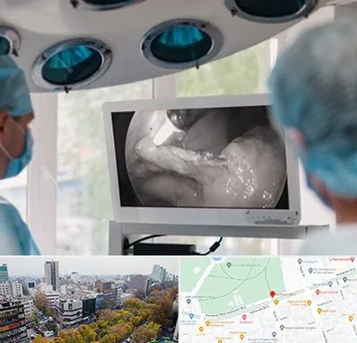 جراح ریه در بلوار کشاورز 