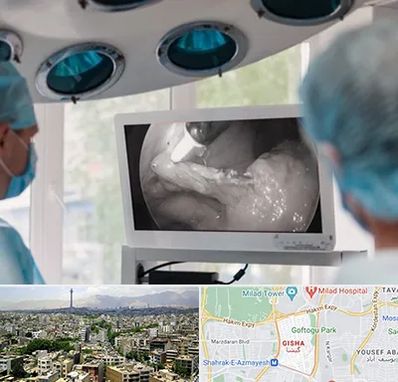 جراح ریه در گیشا 