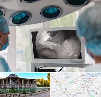 جراح ریه در عفیف آباد شیراز 