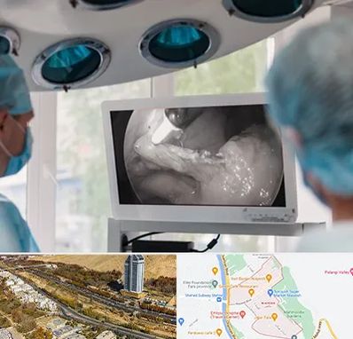 جراح ریه در خیابان نیایش شیراز 