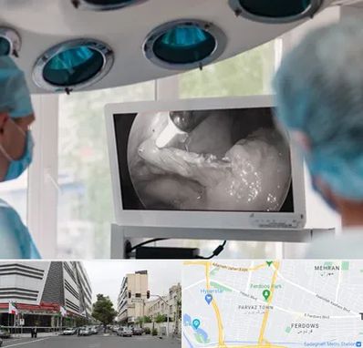 جراح ریه در بلوار فردوس 