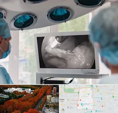 جراح ریه در منطقه 6 تهران 