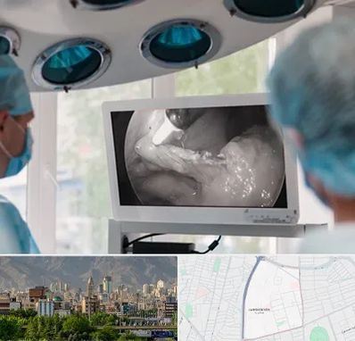 جراح ریه در جمشیدیه