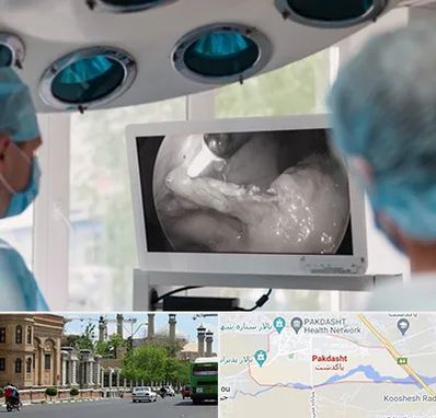 جراح ریه در پاکدشت