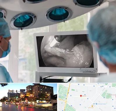 جراح ریه در بلوار سجاد مشهد 