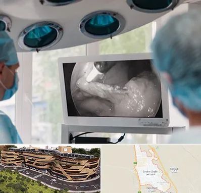 جراح ریه در شاهین شهر