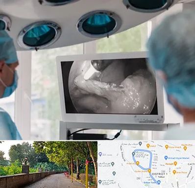 جراح ریه در فلکه گاز رشت 