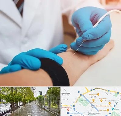 مرکز نوار عصب و عضله در خیابان ارم شیراز 