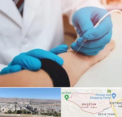 مرکز نوار عصب و عضله در شهرک گلستان شیراز 