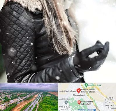 فروشگاه چرم زنانه در قصرالدشت شیراز