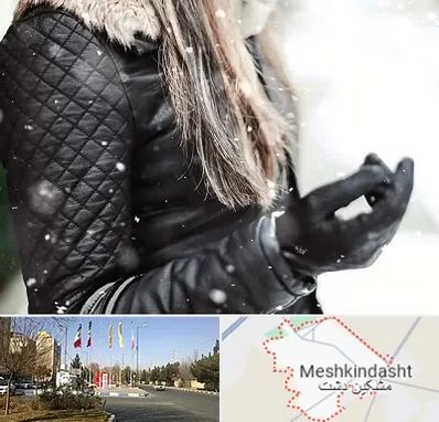 فروشگاه چرم زنانه در مشکین دشت