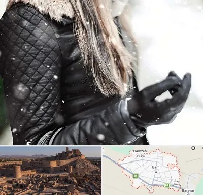 فروشگاه چرم زنانه در بم