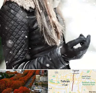 فروشگاه چرم زنانه در ولیعصر