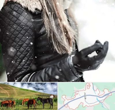 فروشگاه چرم زنانه در تالش