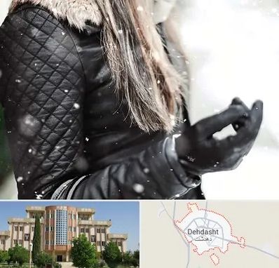 فروشگاه چرم زنانه در دهدشت