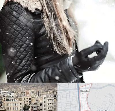 فروشگاه چرم زنانه در اسکندری