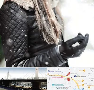 فروشگاه چرم زنانه در پارک وی