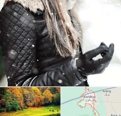 فروشگاه چرم زنانه در کردکوی