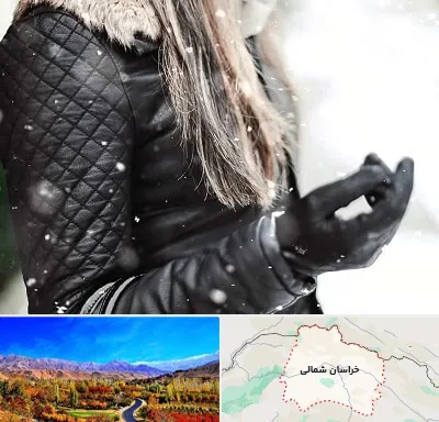 فروشگاه چرم زنانه در خراسان شمالی