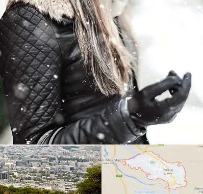 فروشگاه چرم زنانه در یاسوج