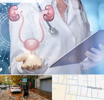 متخصص اورولوژی خانم در خیابان فلسطین