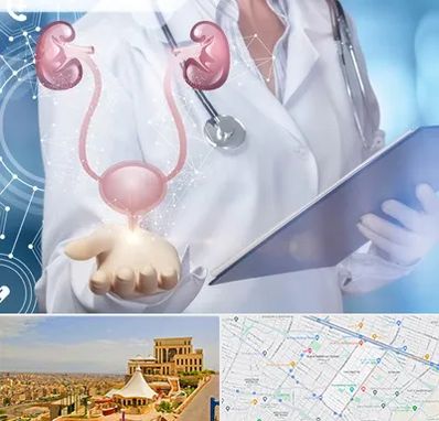 متخصص اورولوژی خانم در هاشمیه مشهد 