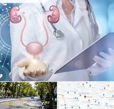 متخصص اورولوژی خانم در میرداماد 