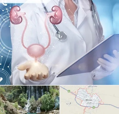 متخصص اورولوژی خانم در شیروان