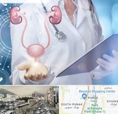 متخصص اورولوژی خانم در پونک 