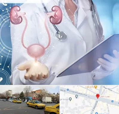 متخصص اورولوژی خانم در شهناز تبریز