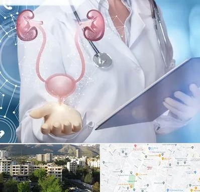 متخصص اورولوژی خانم در دیباجی 