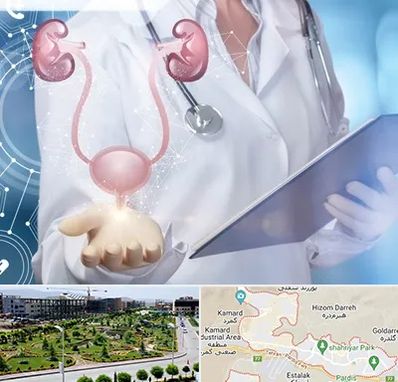 متخصص اورولوژی خانم در پردیس