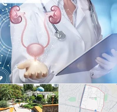 متخصص اورولوژی خانم در باغمیشه تبریز