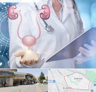 متخصص اورولوژی خانم در پرواز تبریز