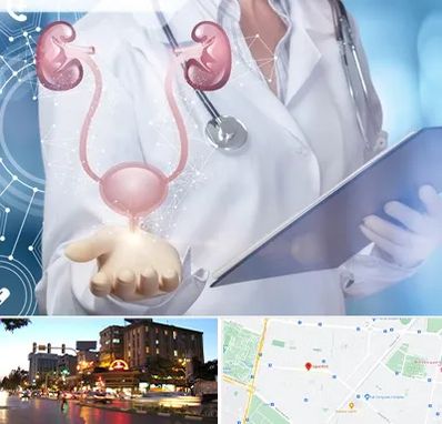 متخصص اورولوژی خانم در بلوار سجاد مشهد 