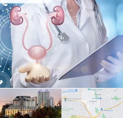 متخصص اورولوژی خانم در فرشته 