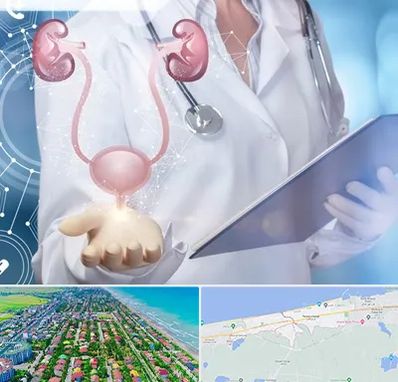 متخصص اورولوژی خانم در فریدونکنار