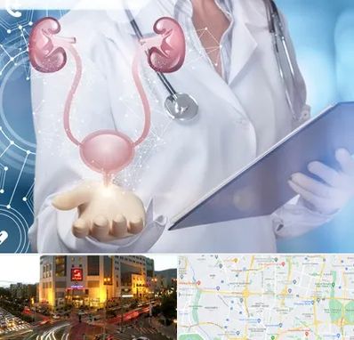 متخصص اورولوژی خانم در جنت آباد تهران 