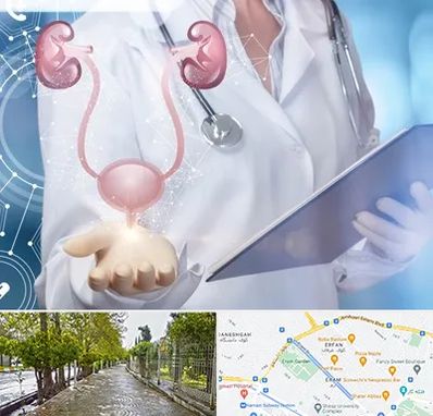 متخصص اورولوژی خانم در خیابان ارم شیراز 