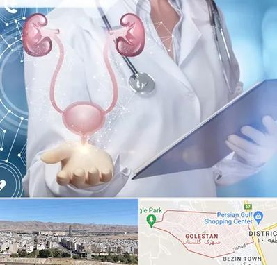 متخصص اورولوژی خانم در شهرک گلستان شیراز 
