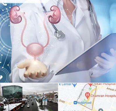 متخصص اورولوژی خانم در اقدسیه 