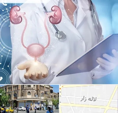 متخصص اورولوژی خانم در لاله زار