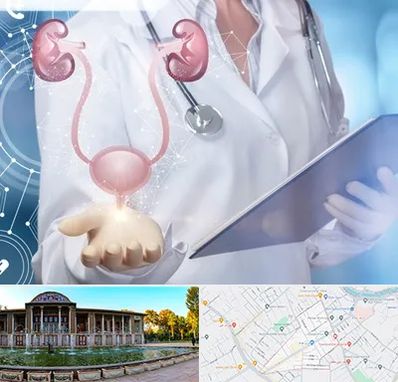 متخصص اورولوژی خانم در عفیف آباد شیراز 