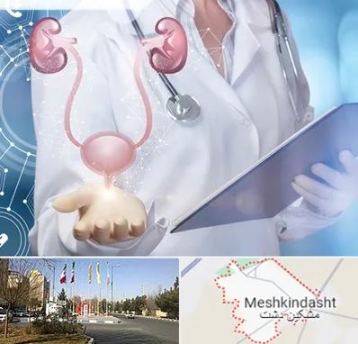 متخصص اورولوژی خانم در مشکین دشت