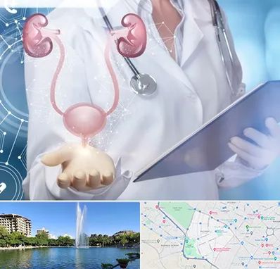 متخصص اورولوژی خانم در کوهسنگی مشهد 