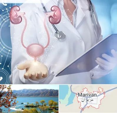 متخصص اورولوژی خانم در مریوان