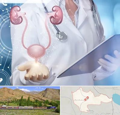 متخصص اورولوژی خانم در خاش