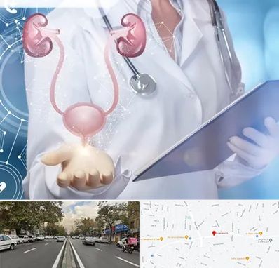 متخصص اورولوژی خانم در دولت 